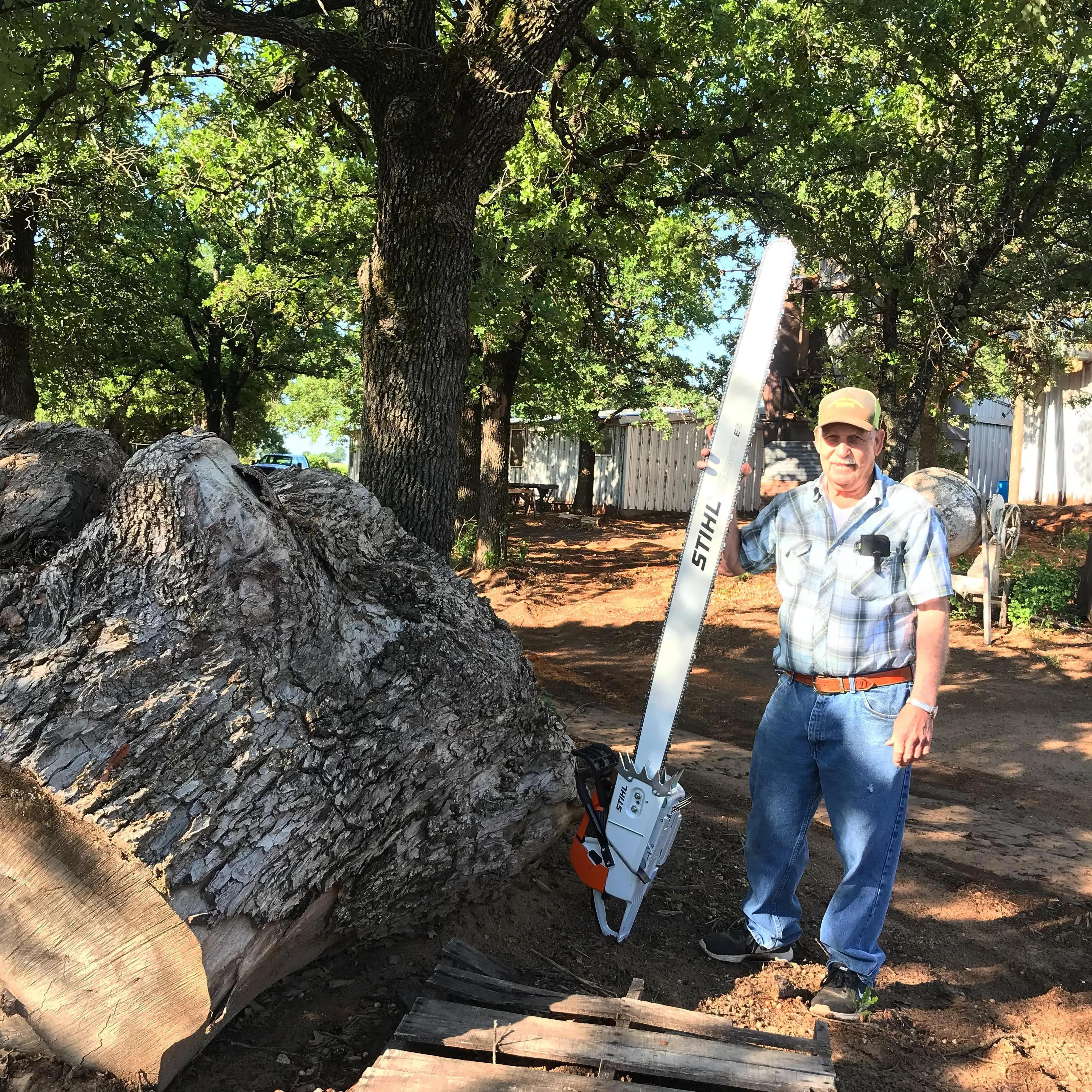 Larry, owner and builder, standing beside a log wider than he is tall, holding a six-foot chainsaw